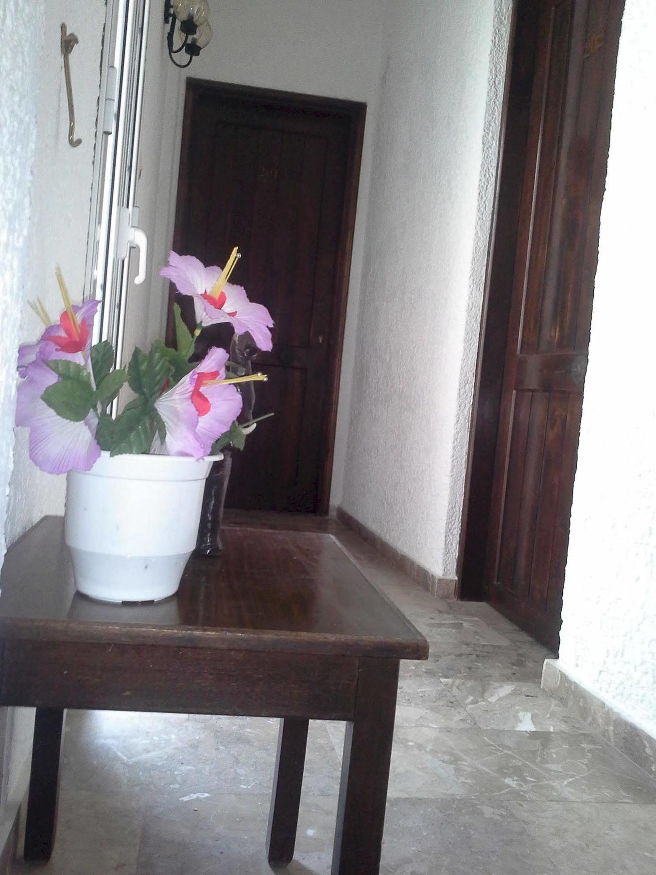 Despina Hotel Hersonissos  Zewnętrze zdjęcie